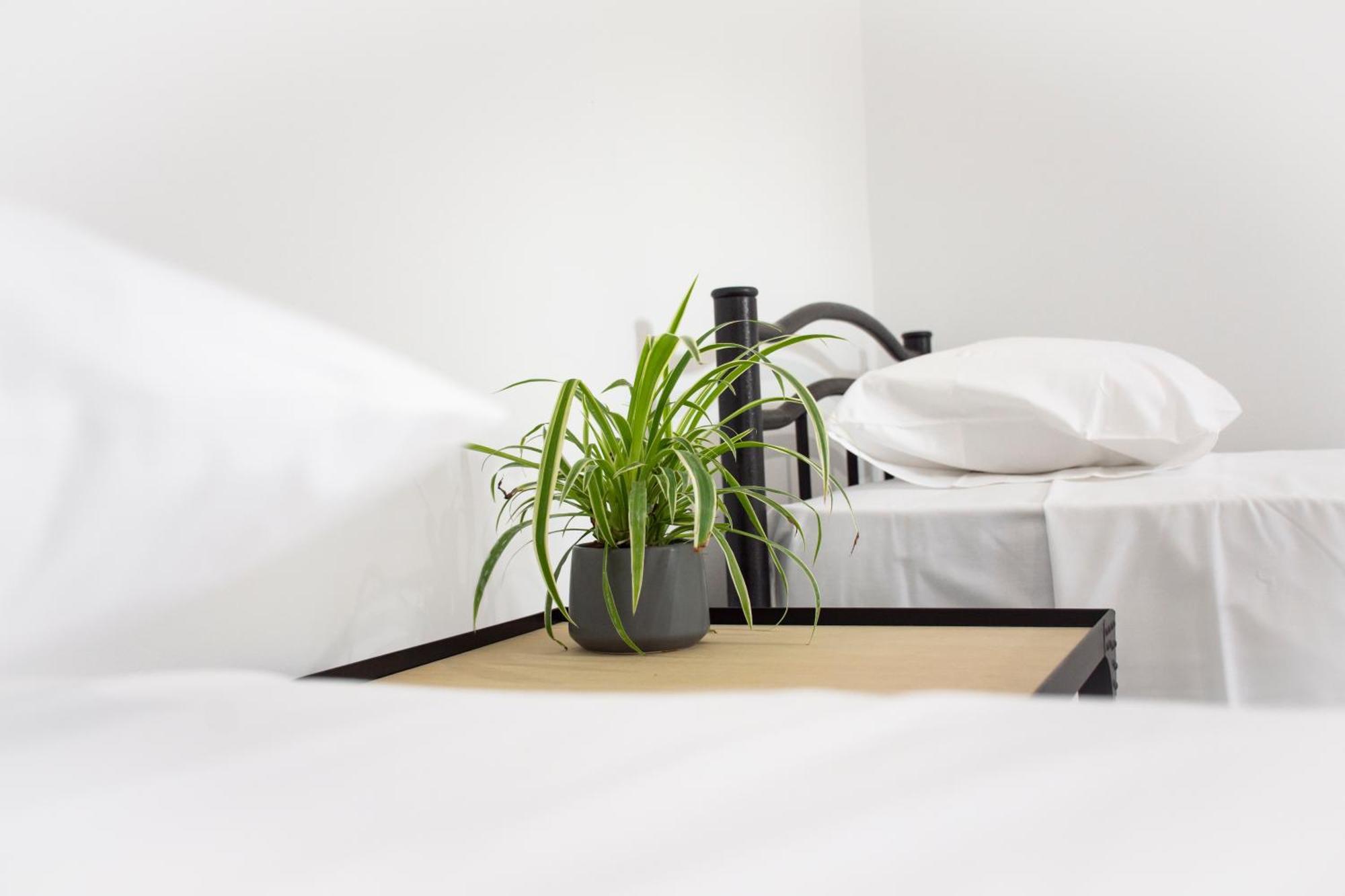 Christina Apartment كيساموس المظهر الخارجي الصورة